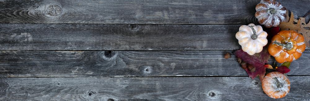 Autumn decor for the seasonal holidays on old wood