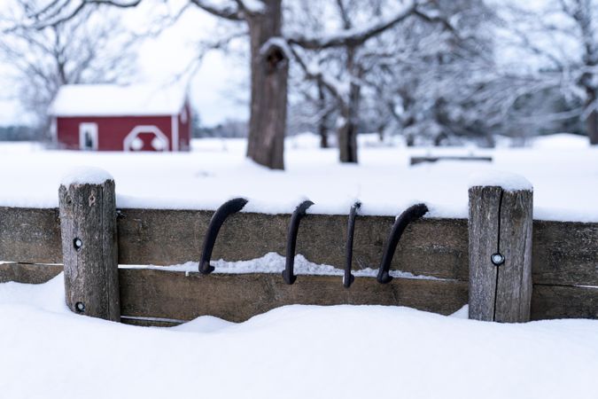 Horseshoes on a fence in the wintertime