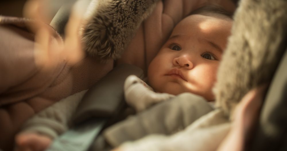 Portrait of a Cute Asian Baby Sitting Calmly in a Car Seat with Safety Belt Attached.