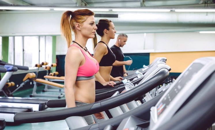 Row of people working out on treadmills in gym