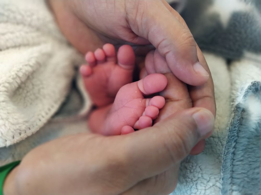 Adult hands hodling baby's feet