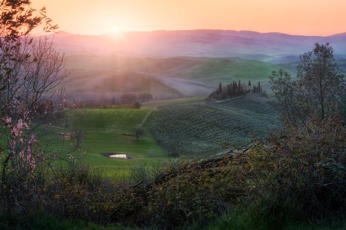 Peaceful green field at sunset