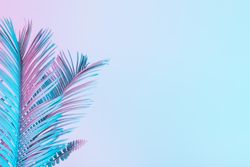 Tropical and palm leaves in vibrant bold gradient holographic colors