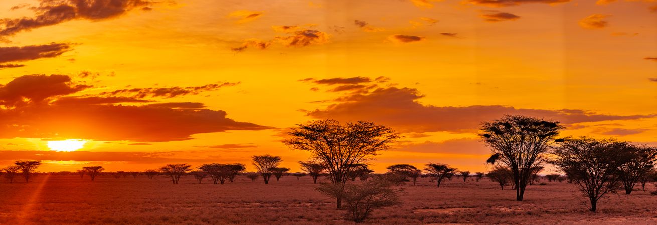 Kenya East Africa Landscapes Kalokol Lodwar Town Turkana Sunset Sunrise Highway Road Field Travels