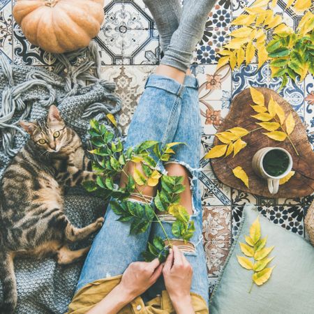 Woman with cat on blanket sitting on colorfully tiled balcony with fall leaves, square crop