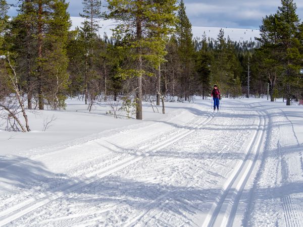 Woman cross country skiing along snowy path in forest
