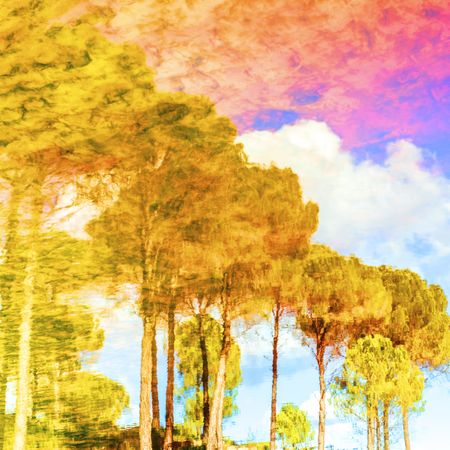 Art effect of golden trees under colorful sky