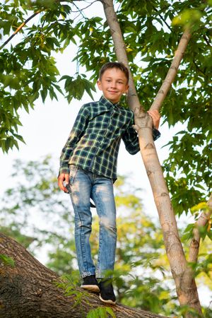 Boy relaxing on tree branch