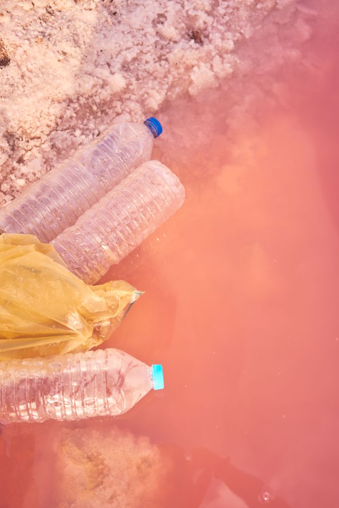 Plastic rubbish in polluted sea water