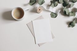 Dry eucalyptus tree leaves, branches and silk ribbon isolated on table with mock up card