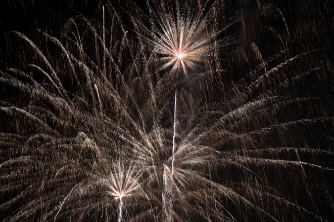 Bright fireworks on night sky