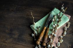 Easter holiday card concept with checkered napkins, pussy willow and cutlery
