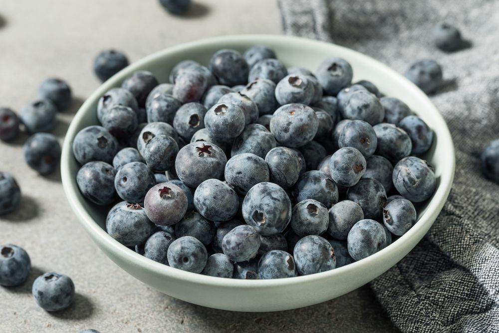 Raw Organic Blue Sweet Blueberries