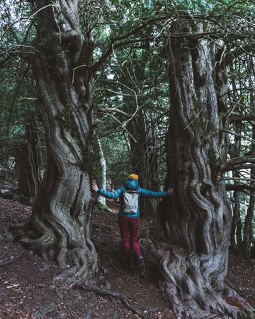 Female hiker standing next to trees trunk
