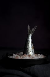 Tail of sardine in plate with salt