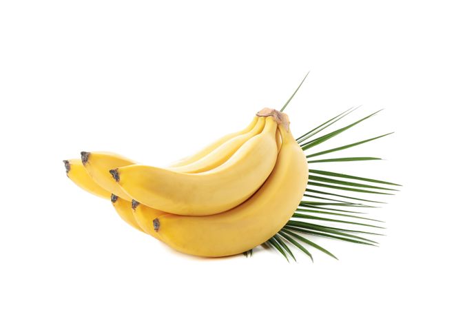 Bananas and palm branch isolated on bright background