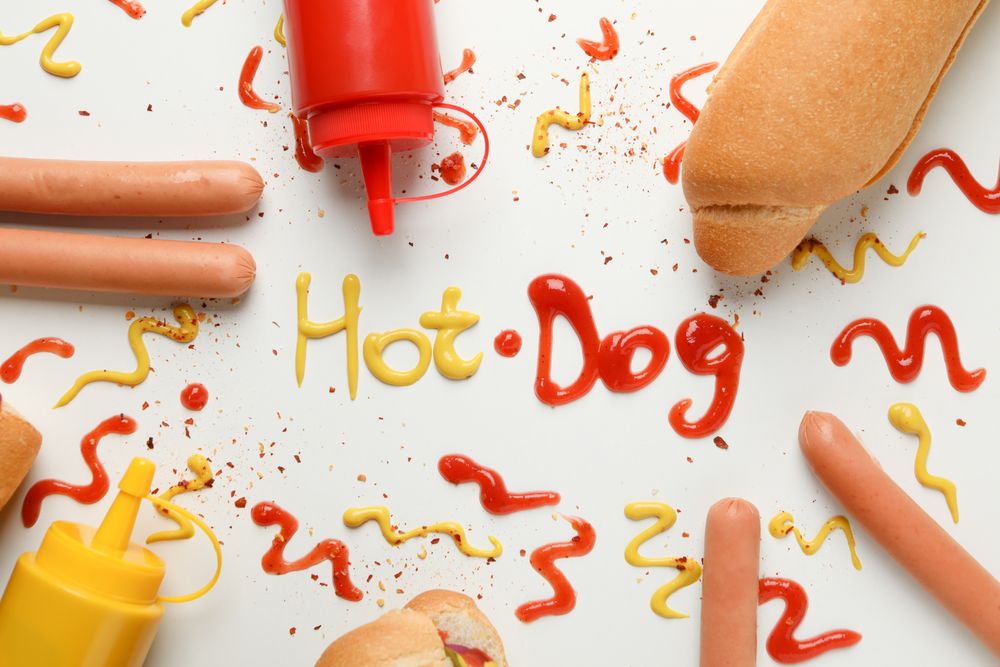 Inscription Hot dog and ingredients for hot dog on plain background