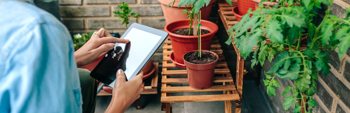 Woman touching digital tablet while caring plants of urban garden on terrace