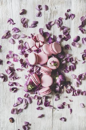 Sweet pink macaron cookies on bed of purple petals, vertical composition