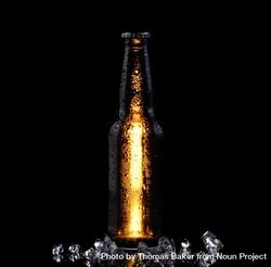 Ice cold bottle of beer on dark background bDxokb