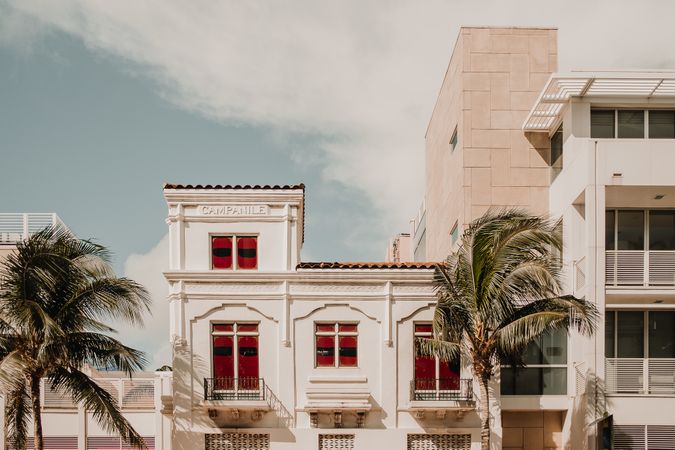 MIAMI, USA - November 13, 2018: Palms growing near city building