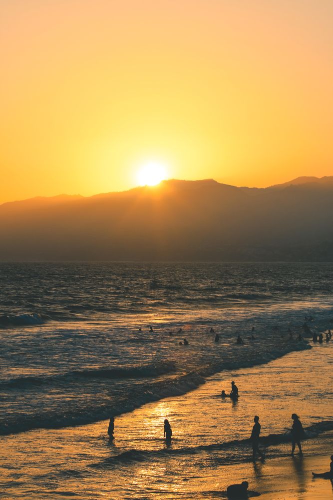Silhouette of people at shore during golden hour