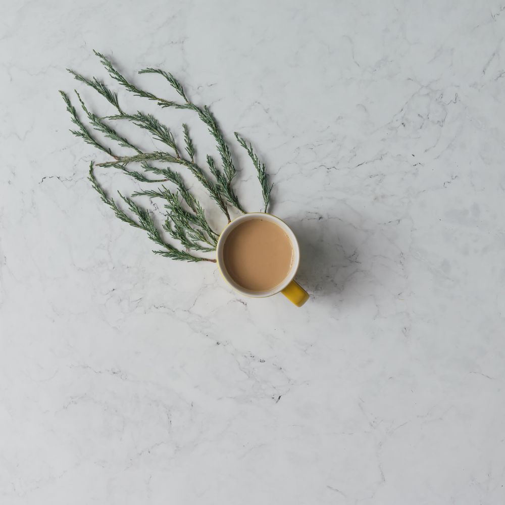 Winter foliage trailing tea cup