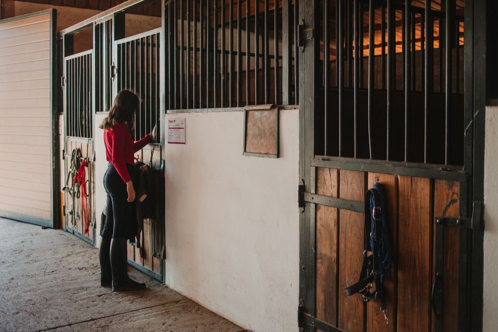 Woman standing in horse stable