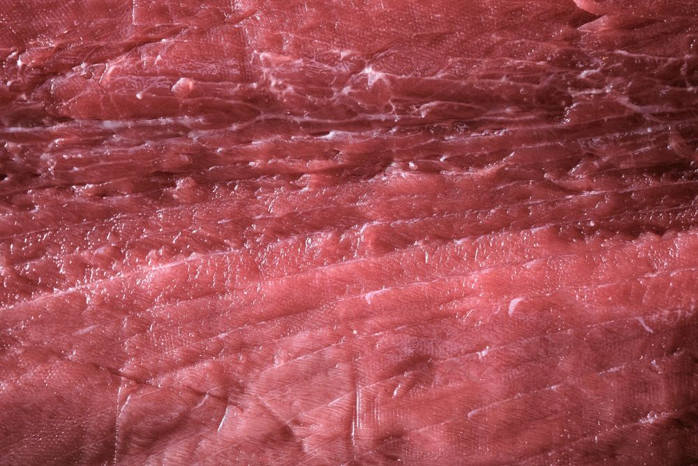 Fresh raw tuna on kitchen table