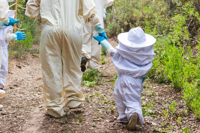 Child and beekeeper holding hands in apiary