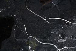 Fragment of thin ice on dark frozen river