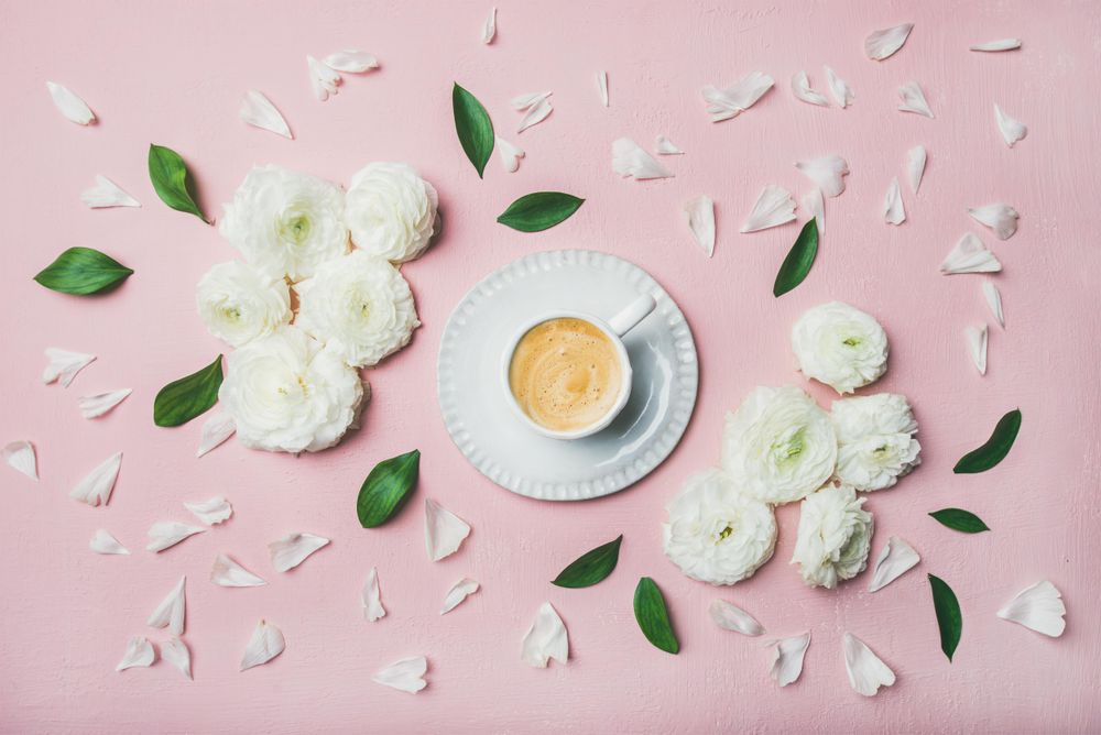Spring morning concept