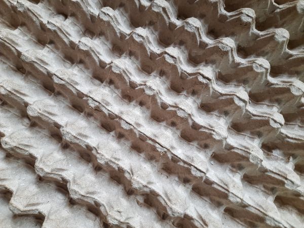 Diagonal Pattern of Quail Egg Carton Texture