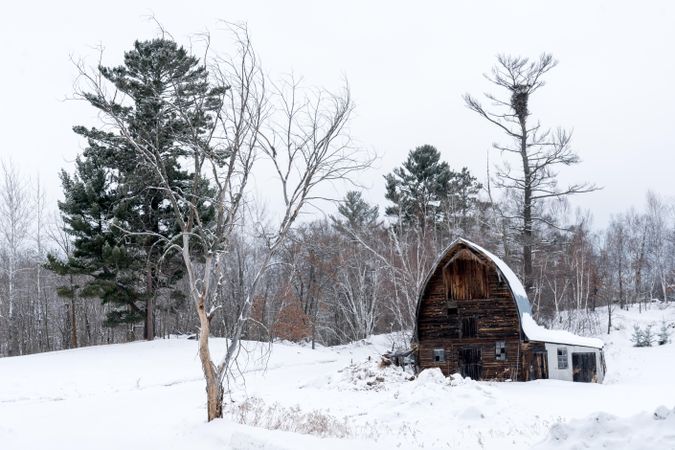 Small wooden barn surrounded by trees on a snowing day