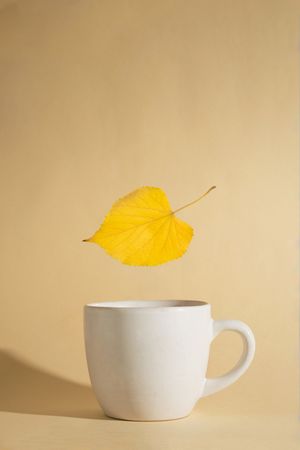 Autumn yellow leaf floating above a cup