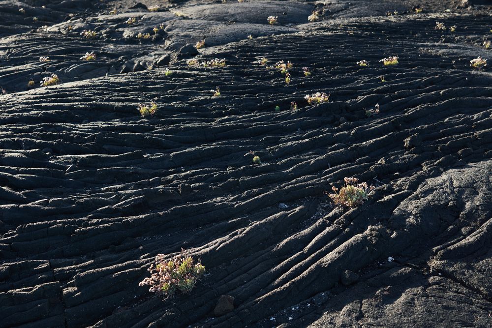 Texture of rough stone