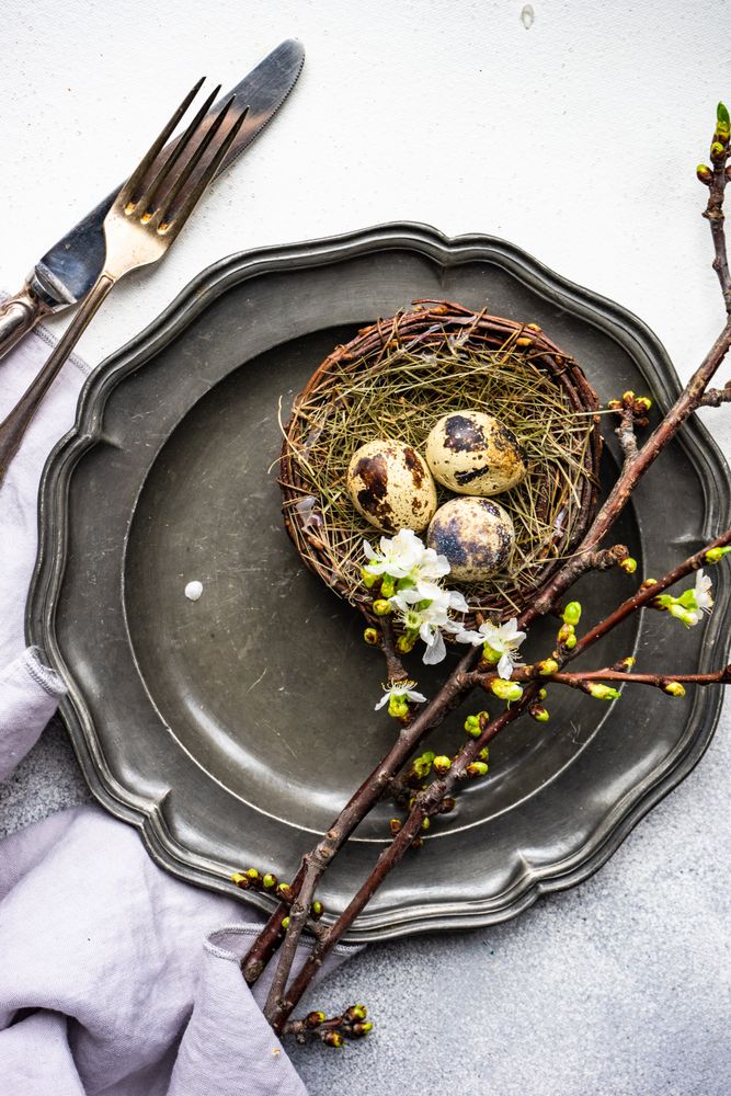 Top view of decorative nest and cherry blossom branch on dark table setting