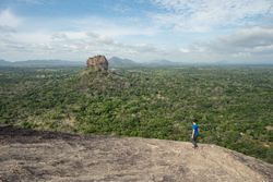 Tourist against solitary rock in middle of green forested plain under clear sky in summer