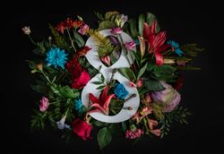 Colorful spring flowers of red, blue, pink, cream around the number “8” on dark background