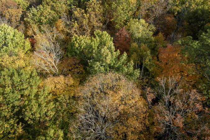 Top view of Kathio Observation Tower at Mille Lacs Kathio State Park in Minnesota