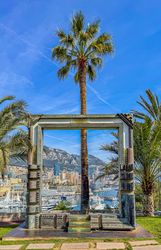 Out of frame palm tree