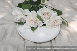 Beautiful pink nude colored roses on speckled plate 4MXQ15