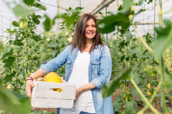 Smiling farmer carrying crate with crop in greenhouse
