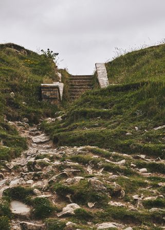 Rocky stairs in the grass