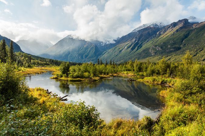 Green trees surrounding lake