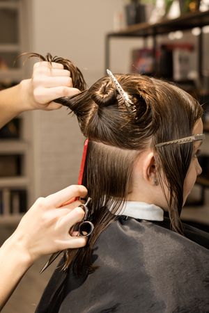 Process of cutting bob, back view