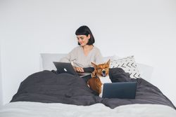 Woman works from home on laptop in bed with dog also on laptop