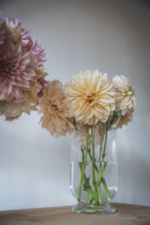 Bunches of flowers in vases on table