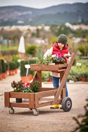 Positive preteen boy rolling wooden cart with potted flowers