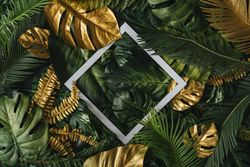 Densely packed green and gold leaves with square outline